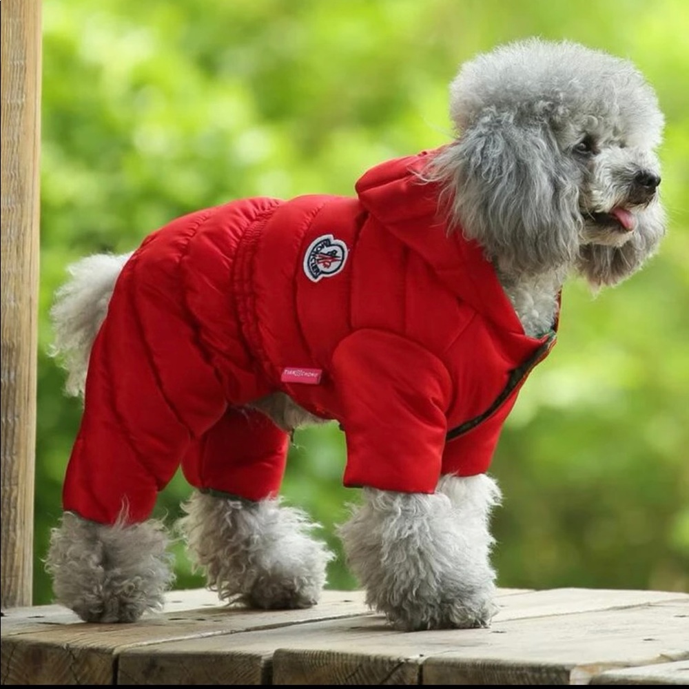 NEW Dog puffer jacket in red size small